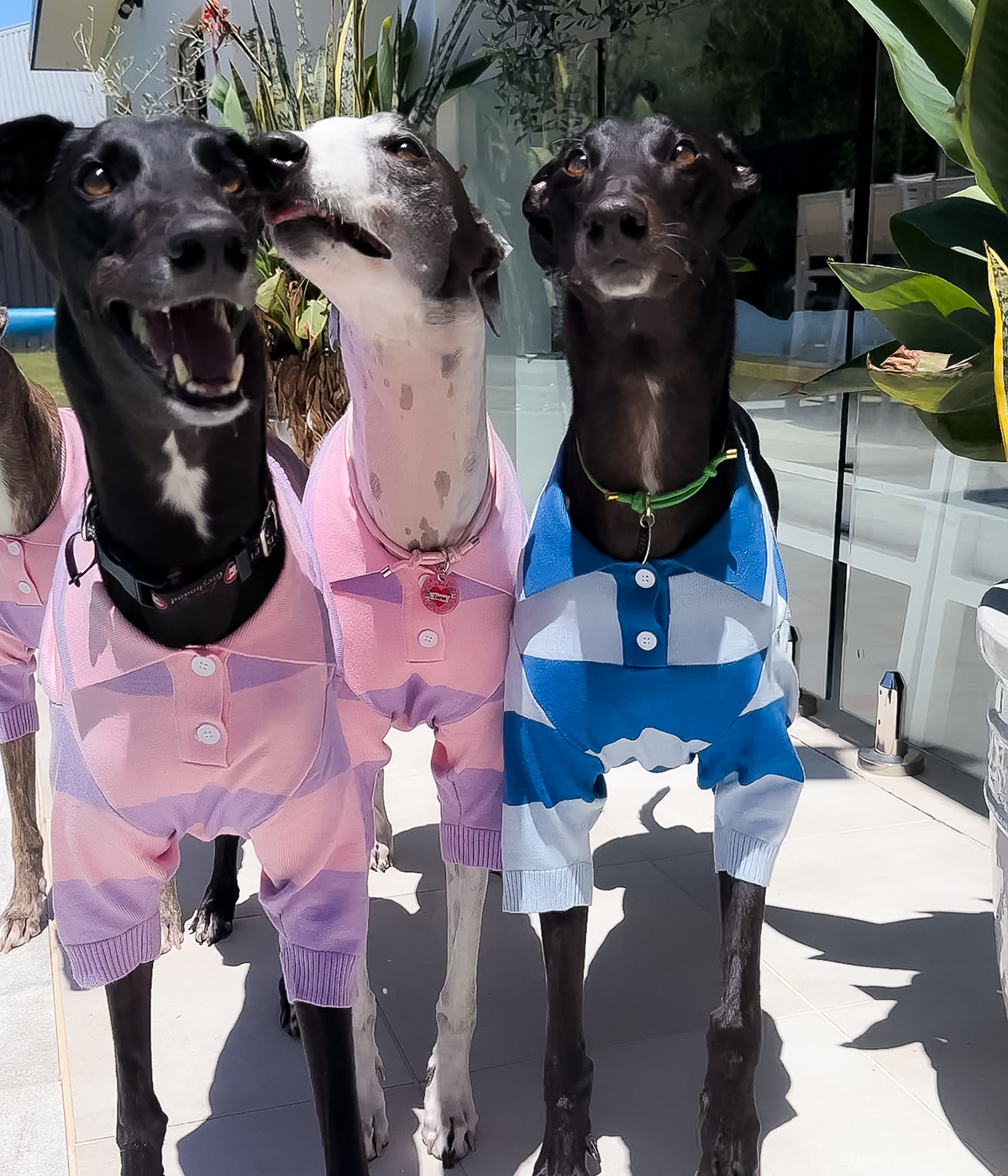 Polo Crop Top - Malibu Blue