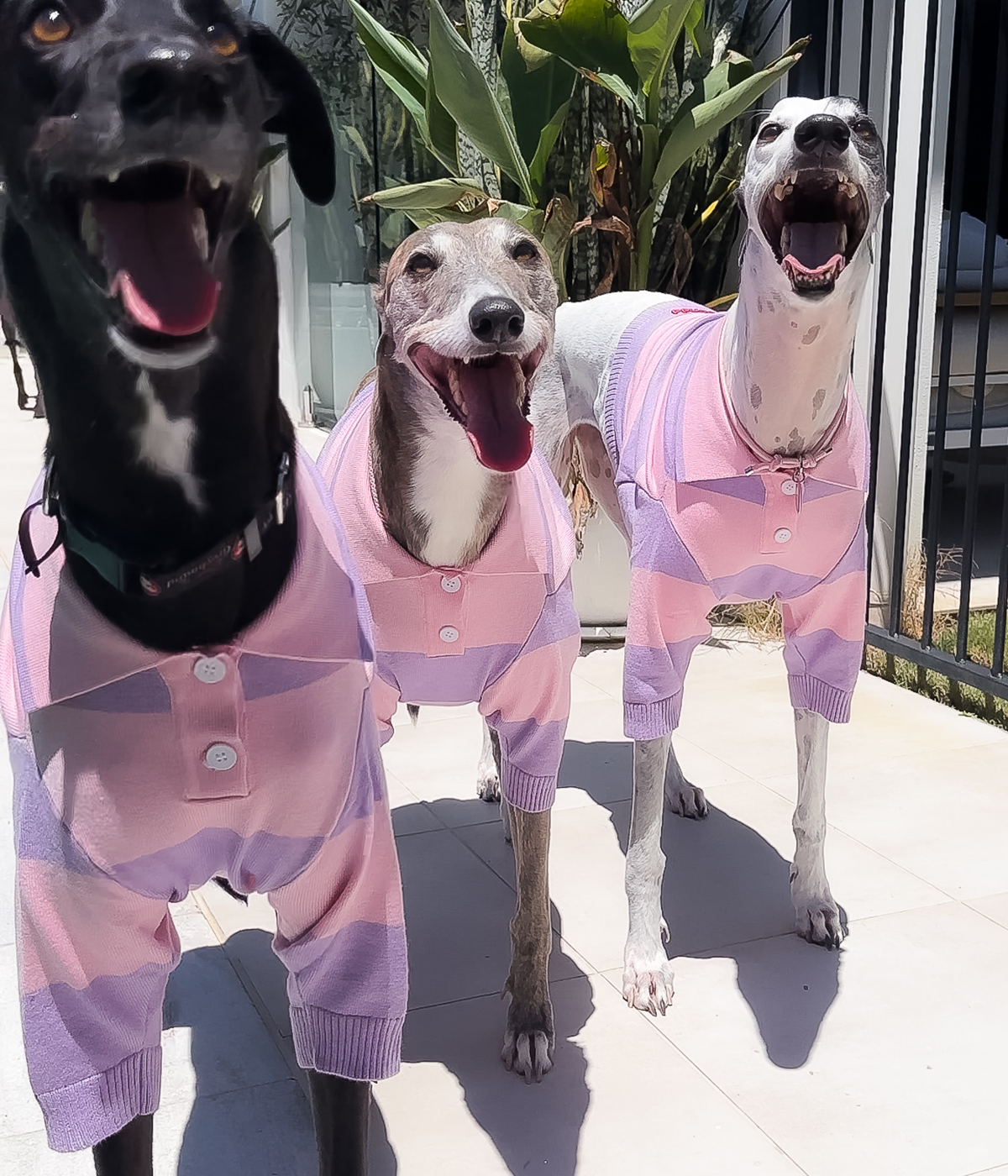 Polo Crop Top - Dreamhouse Pink