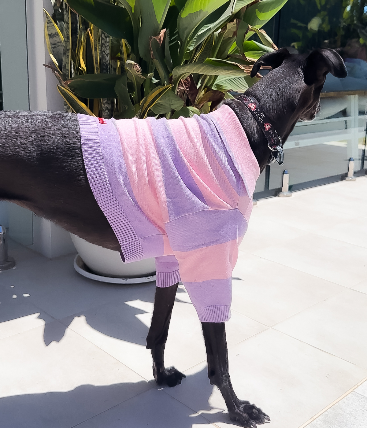 Polo Crop Top - Dreamhouse Pink