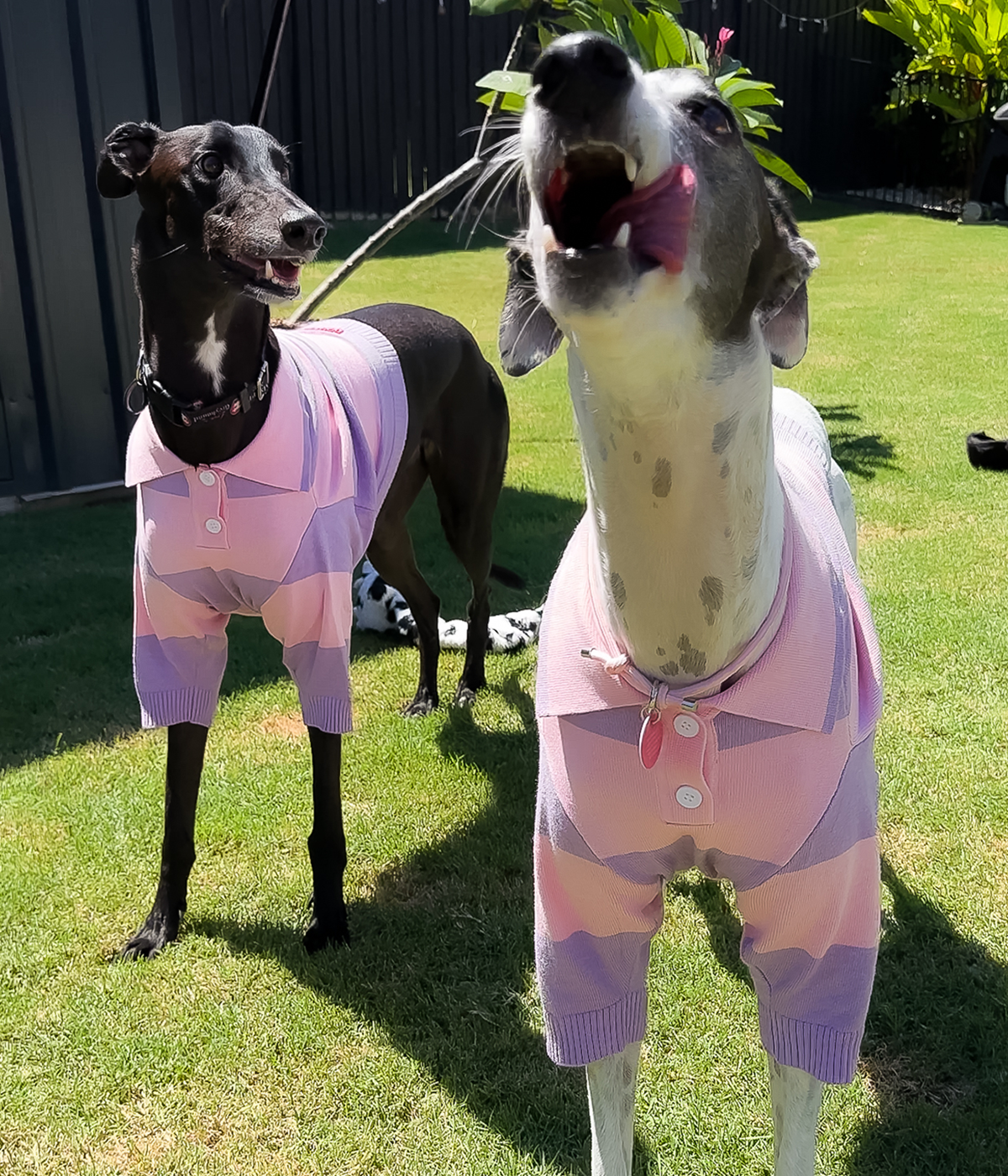 Polo Crop Top - Dreamhouse Pink