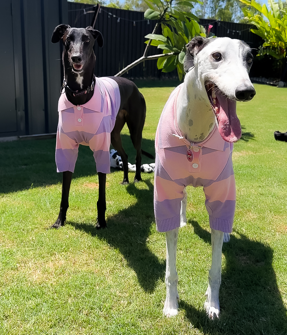 Polo Crop Top - Dreamhouse Pink