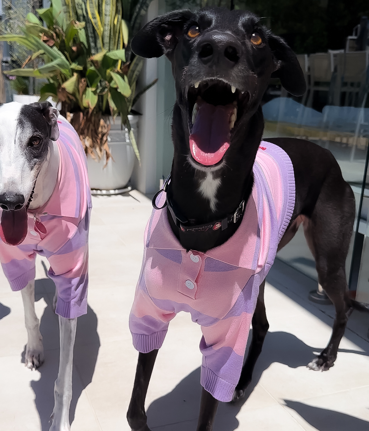 Polo Crop Top - Dreamhouse Pink