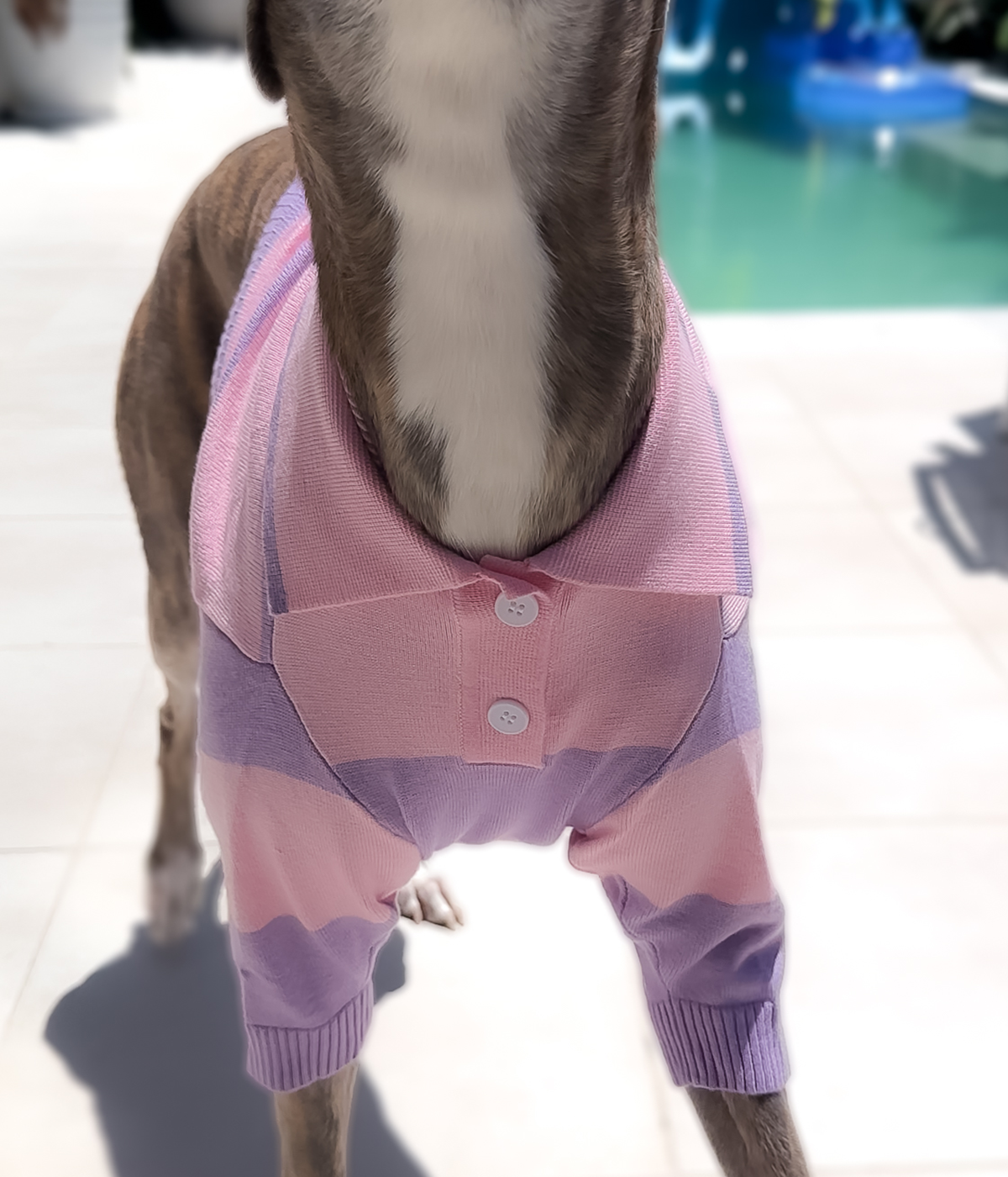 Polo Crop Top - Dreamhouse Pink