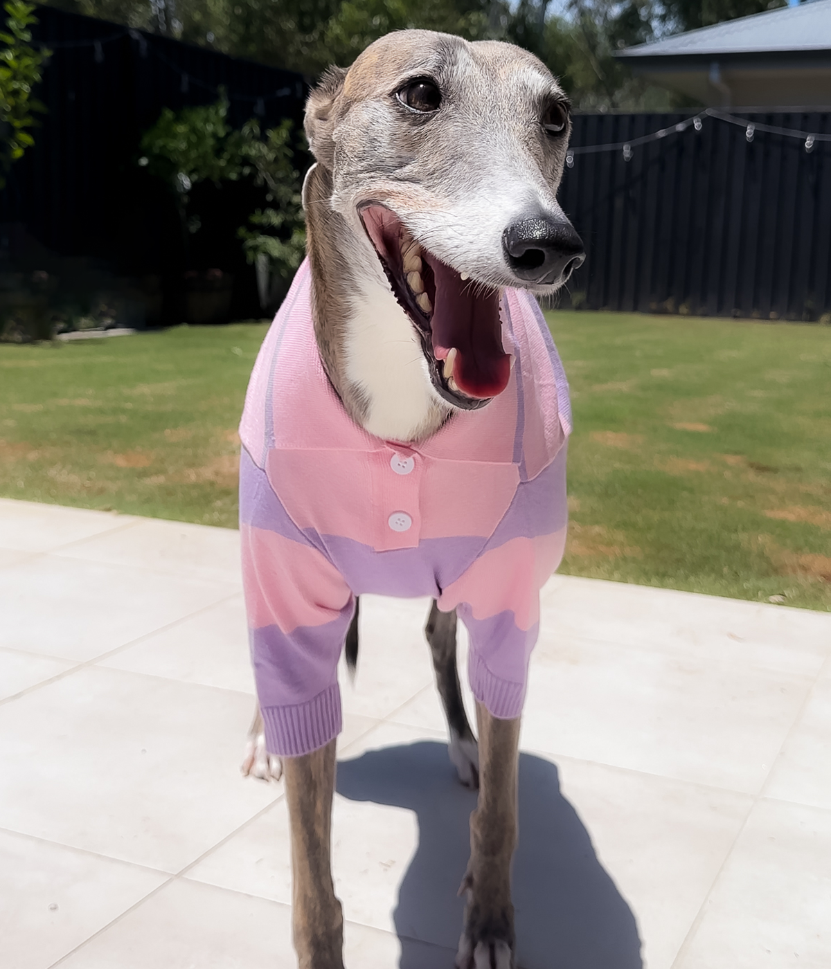 Polo Crop Top - Dreamhouse Pink