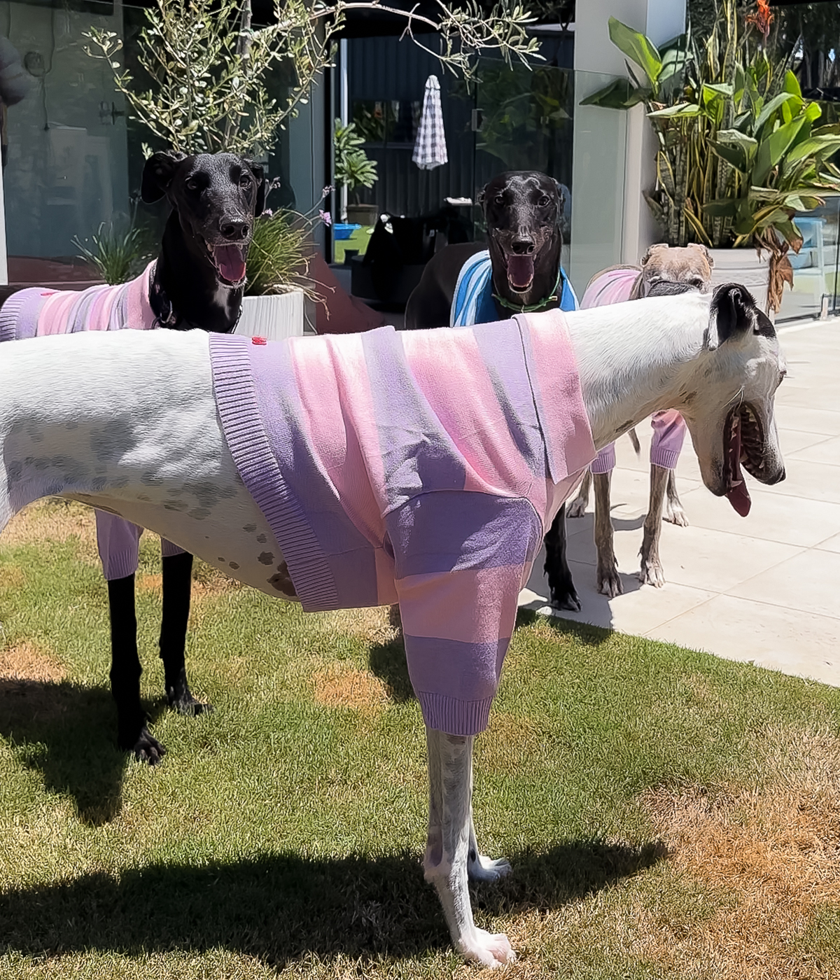 Polo Crop Top - Dreamhouse Pink