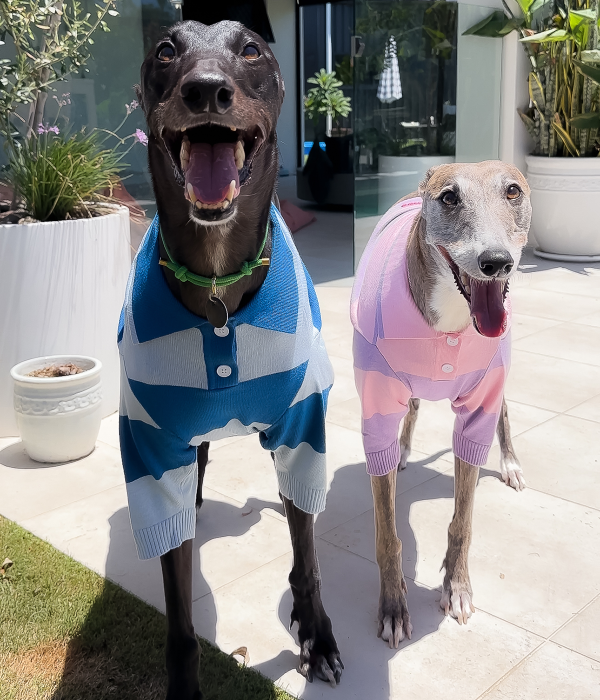 Polo Crop Top - Malibu Blue