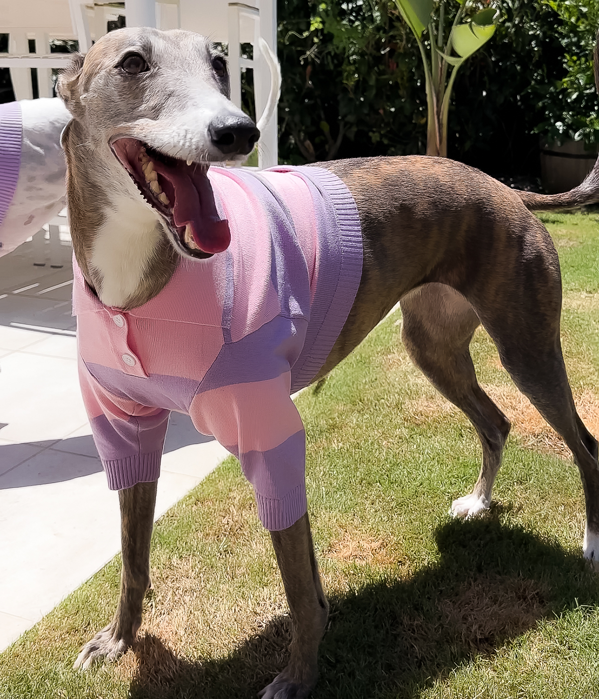 Polo Crop Top - Dreamhouse Pink