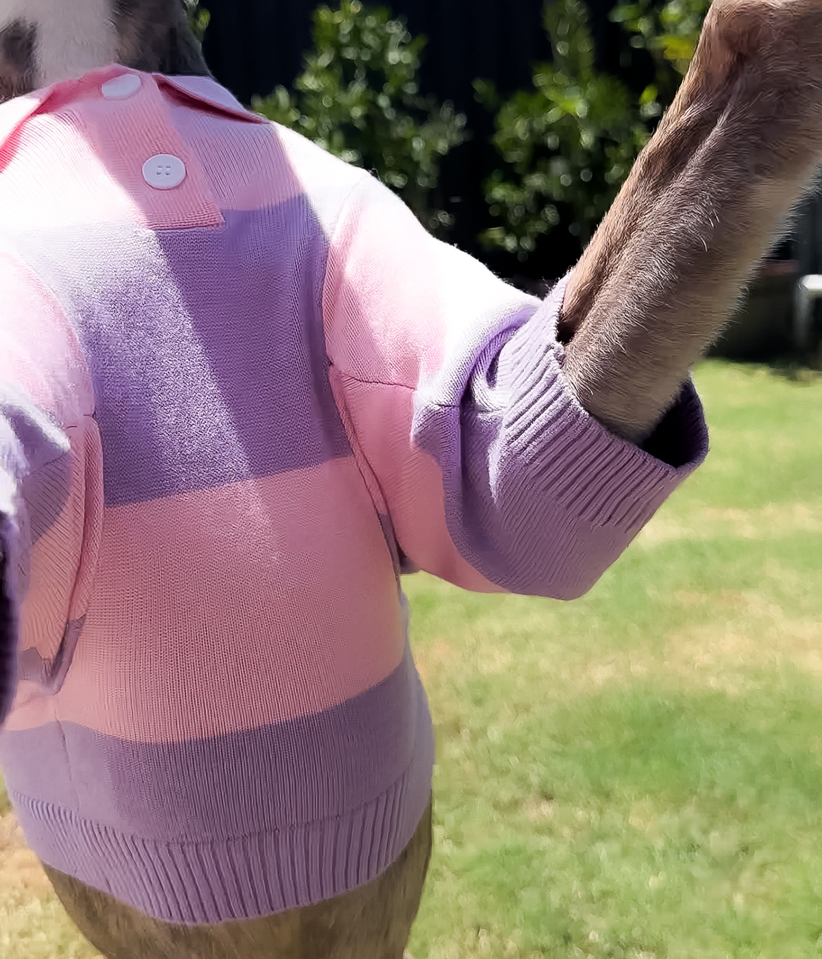 Polo Crop Top - Dreamhouse Pink