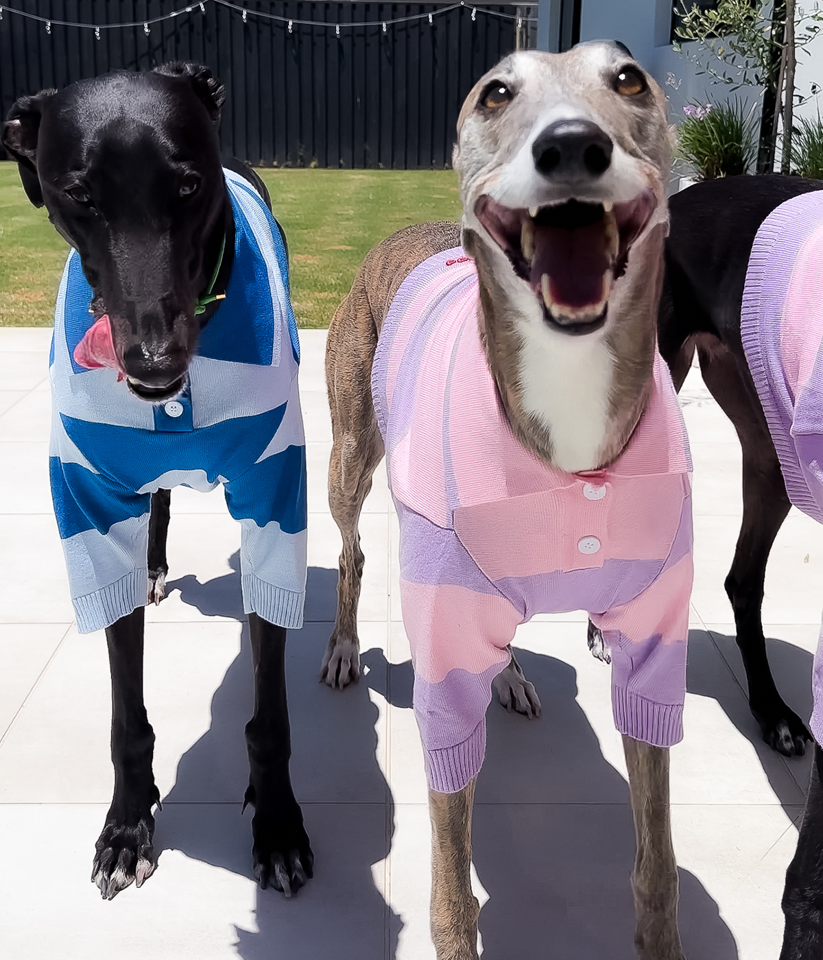 Polo Crop Top - Dreamhouse Pink