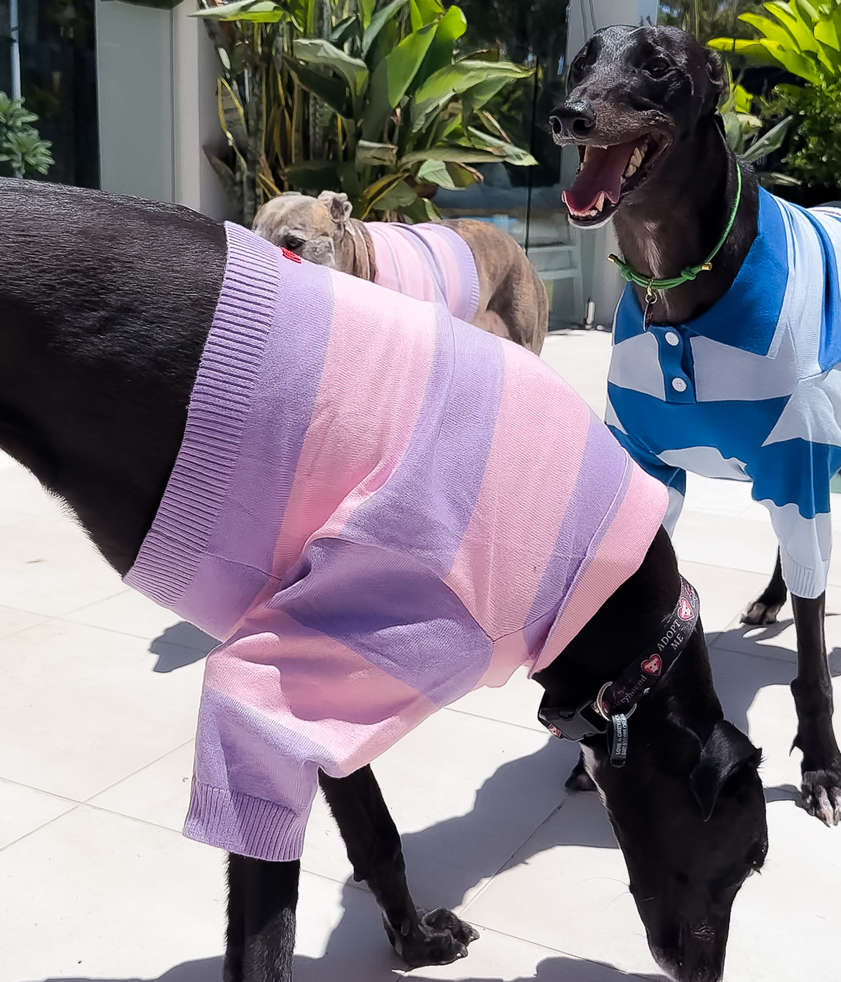 Polo Crop Top - Dreamhouse Pink