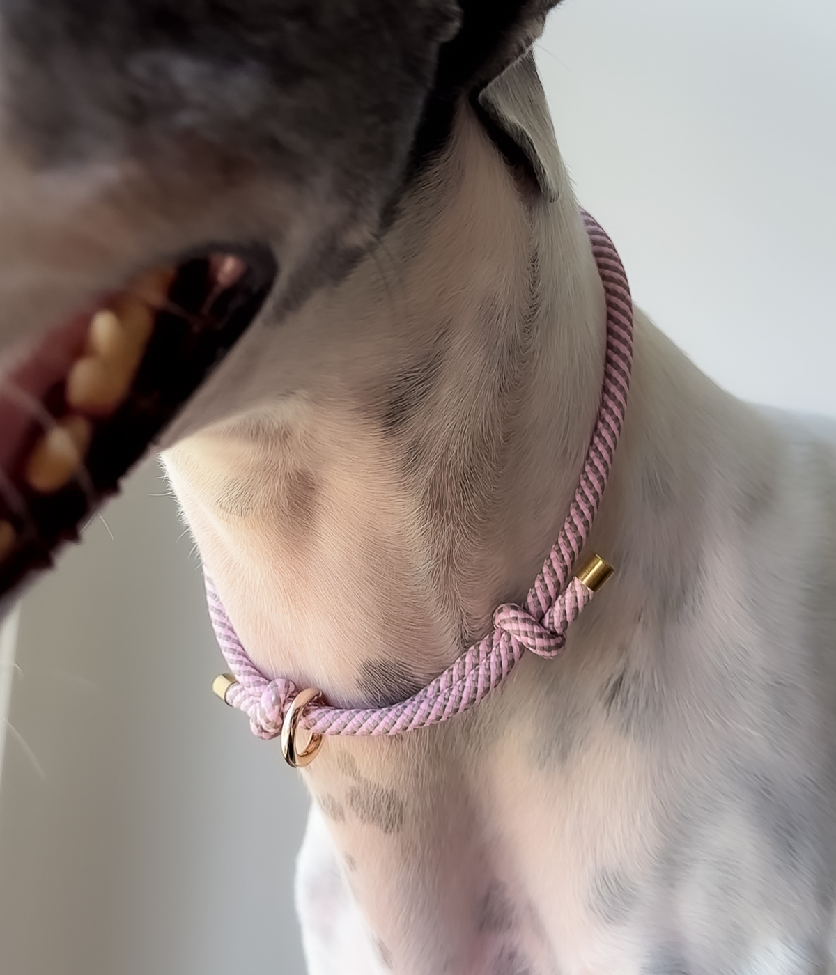 House Collar - Pink Marble