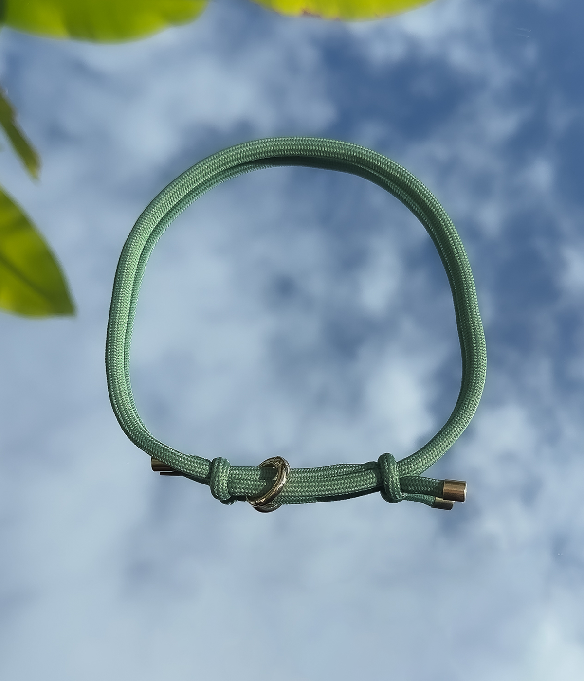 House Collar - Pistachio