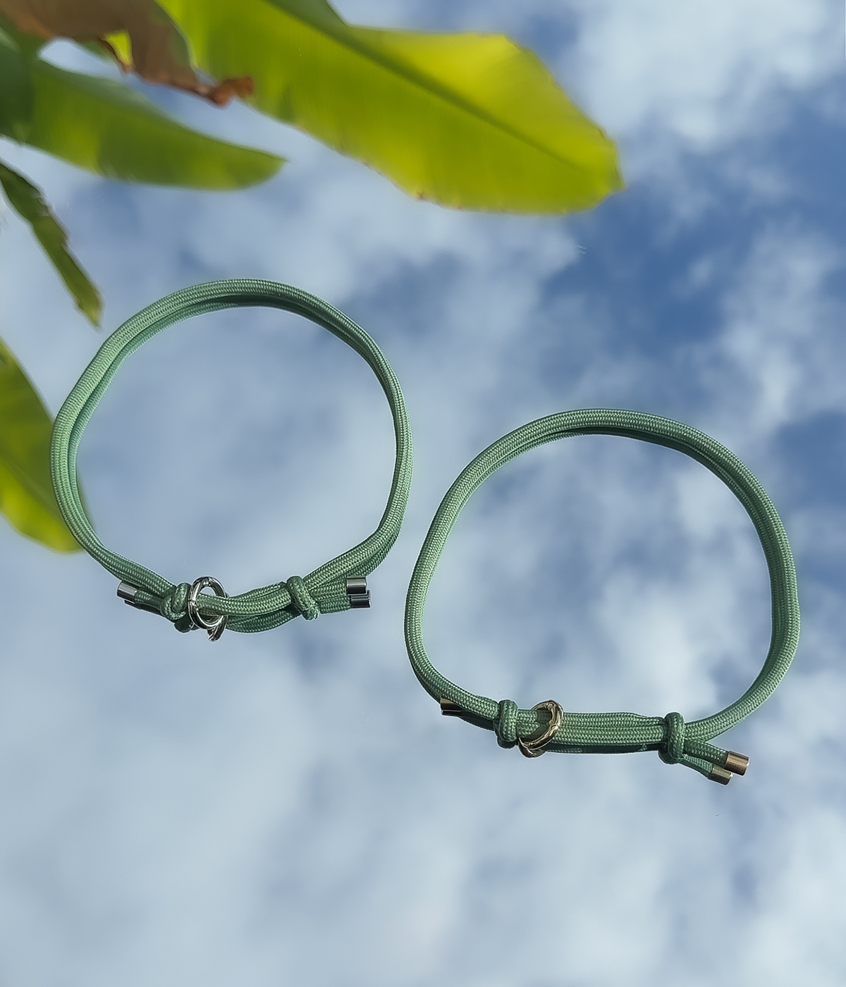 House Collar - Pistachio