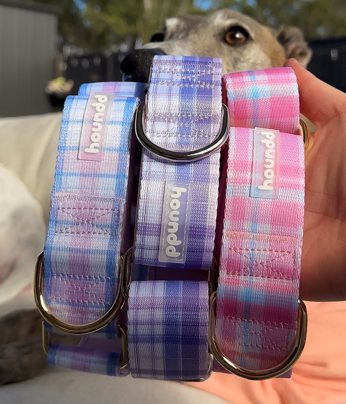 Martingale Collar - Plaid