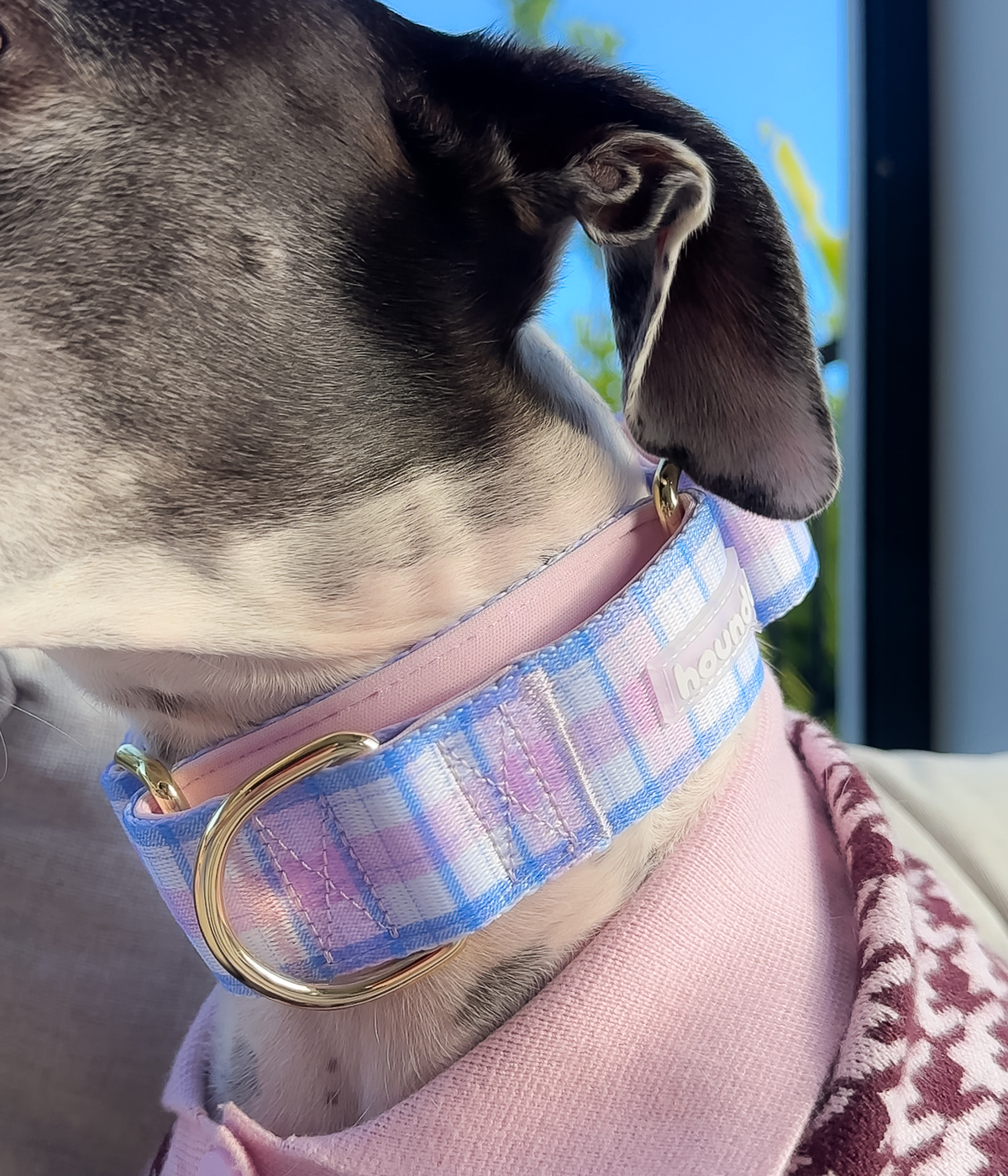 Martingale Collar - Plaid
