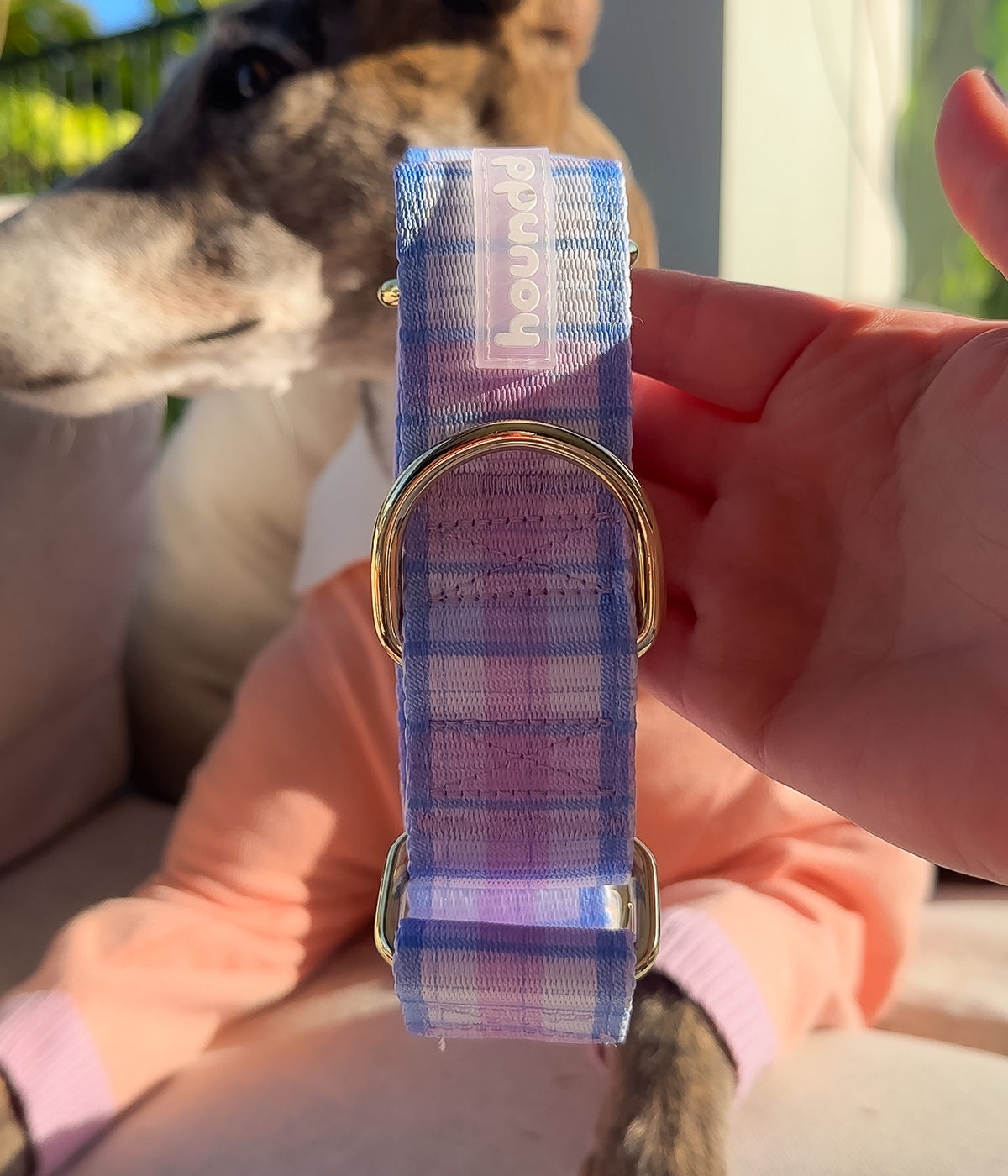 Martingale Collar - Plaid