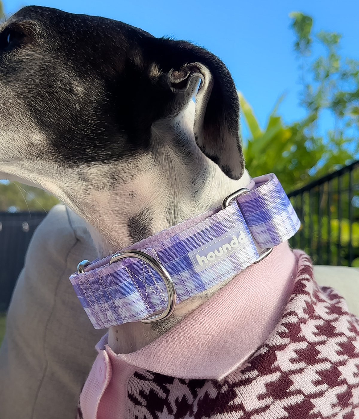 Martingale Collar - Plaid