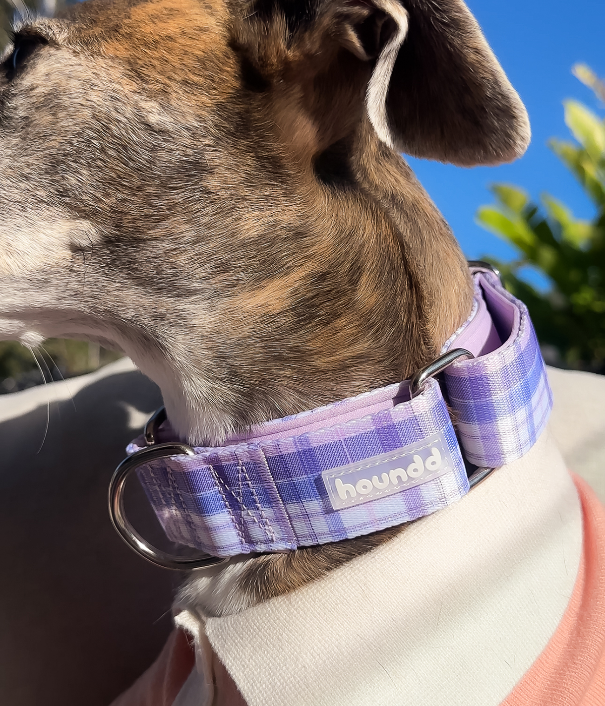 Martingale Collar - Plaid