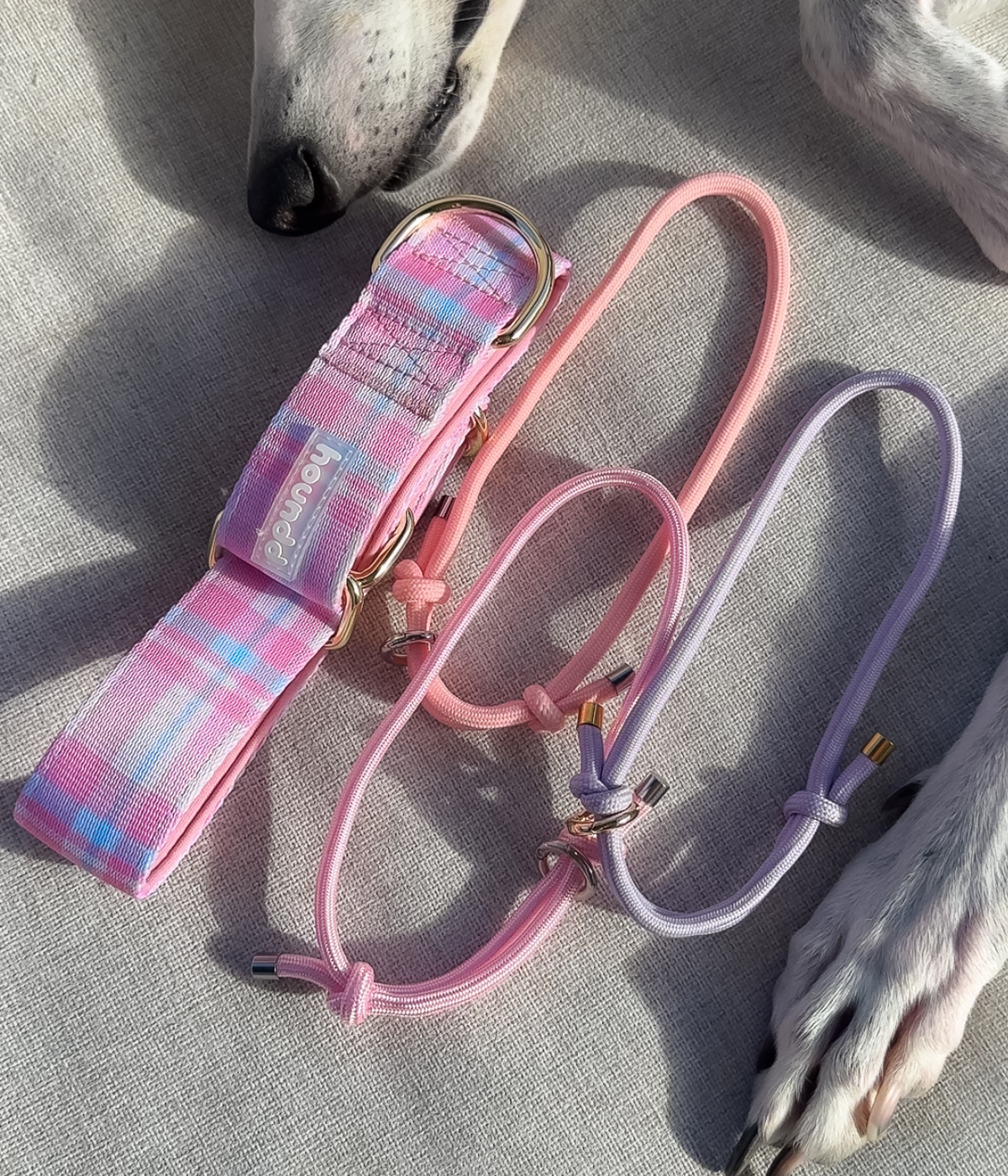 Martingale Collar - Plaid
