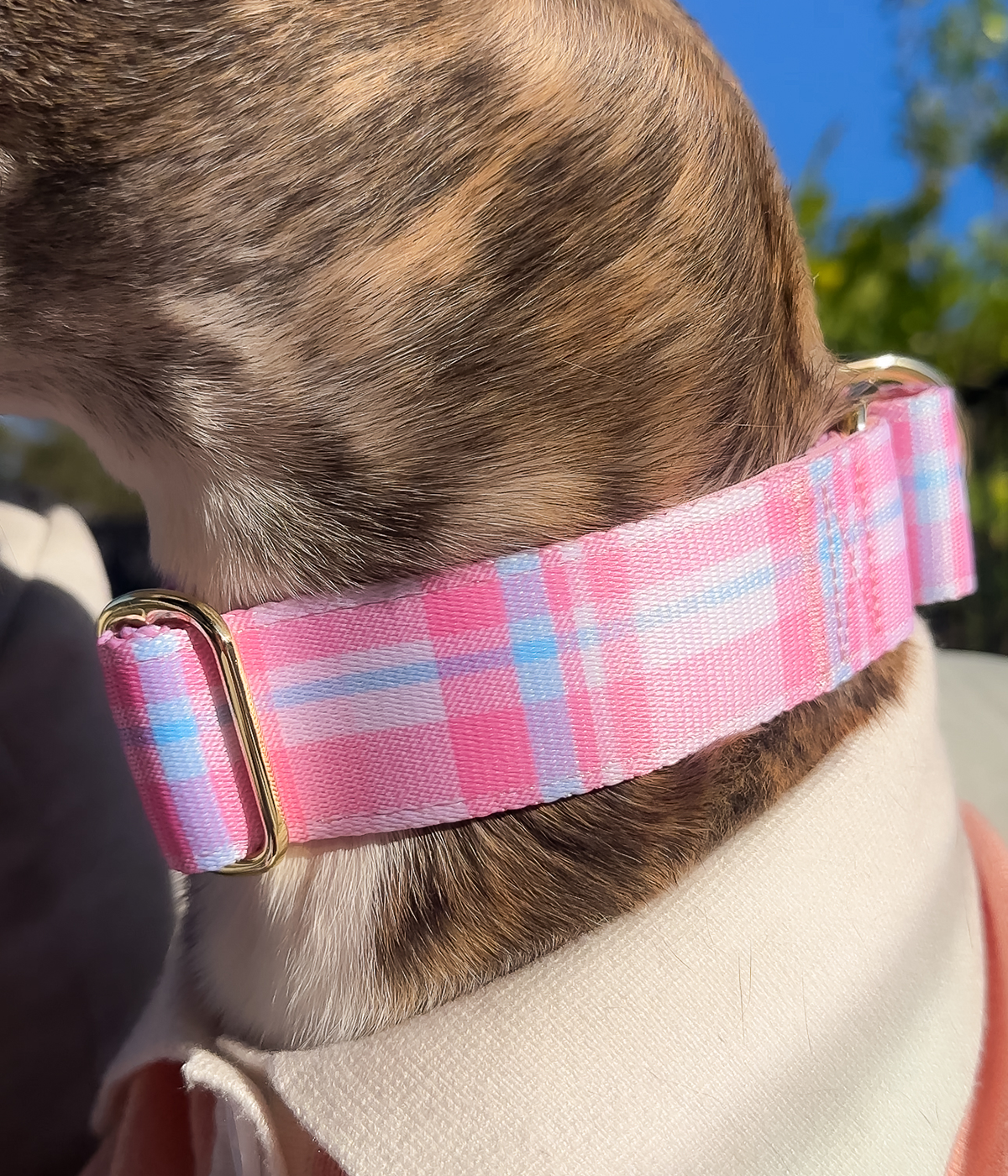 Martingale Collar - Plaid
