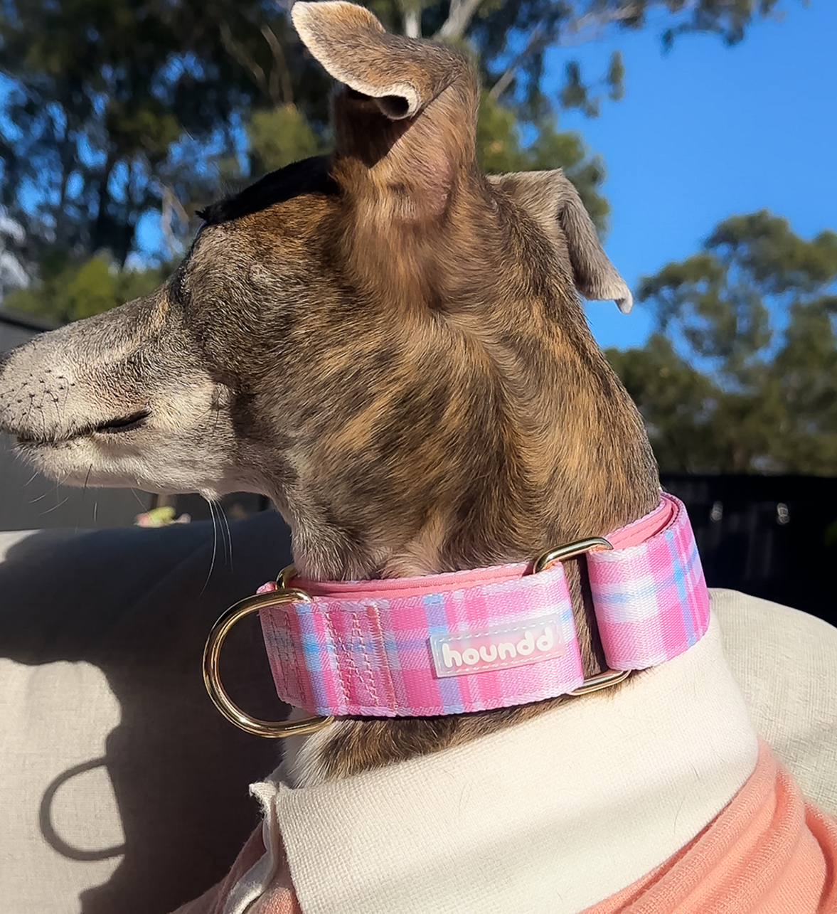Martingale Collar - Plaid