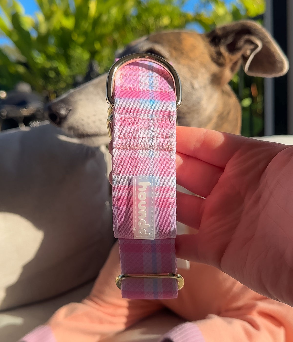 Martingale Collar - Plaid
