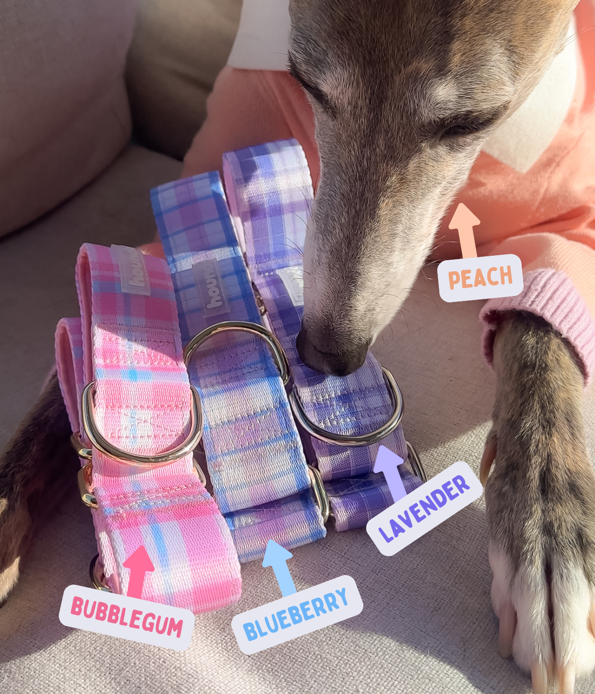 Martingale Collar - Plaid