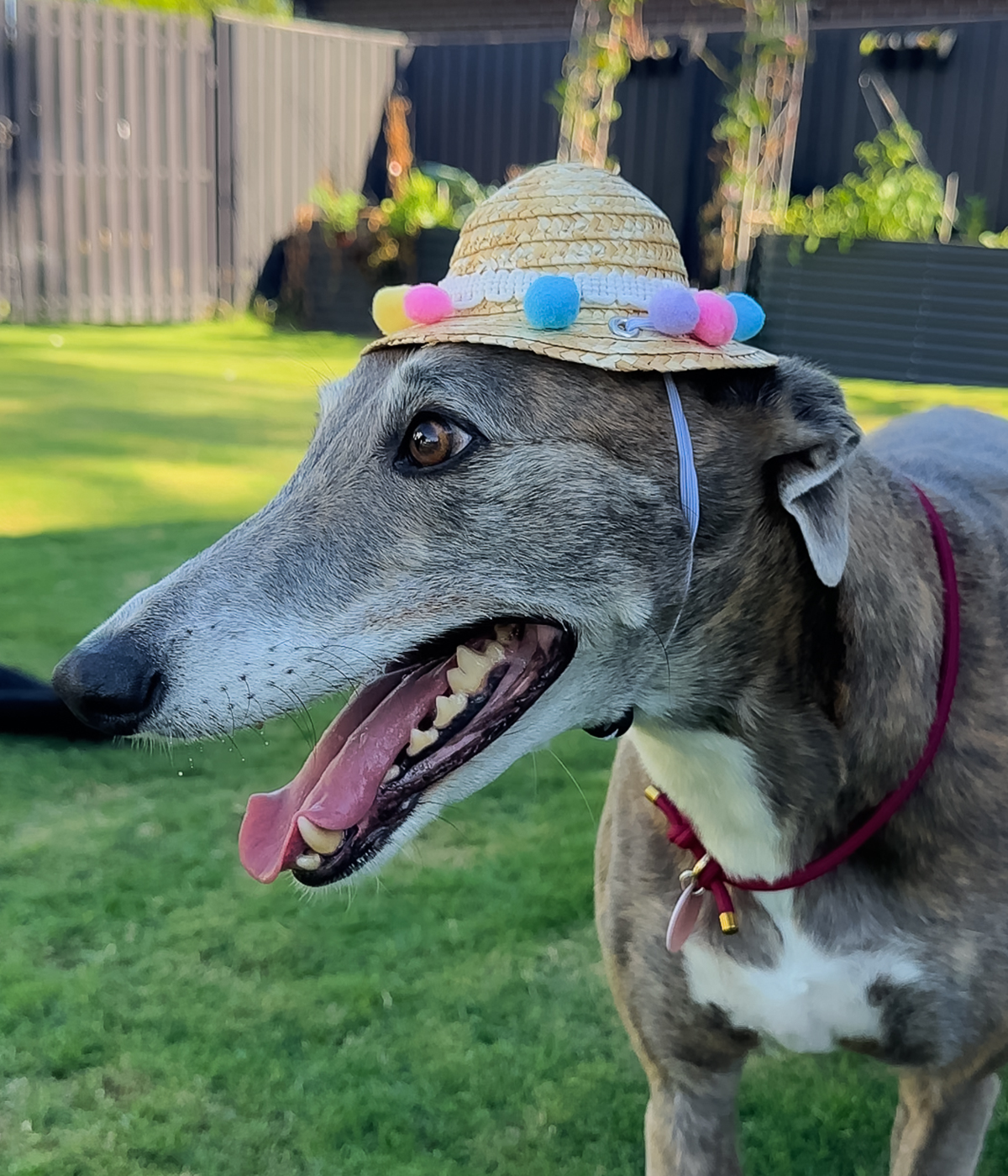 Pom Pom Sun Hat
