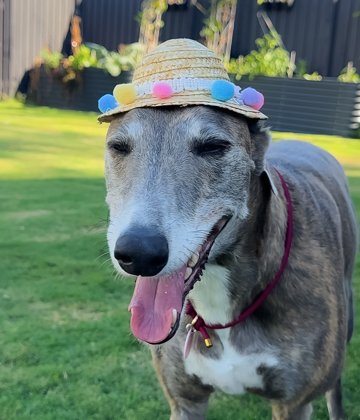 Pom Pom Sun Hat