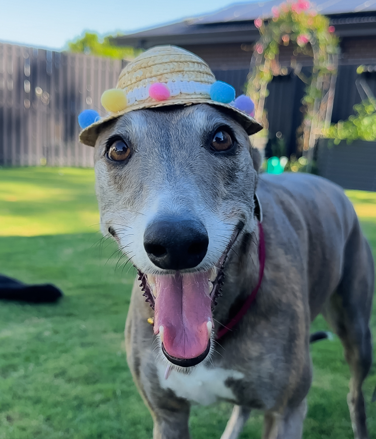 Pom Pom Sun Hat
