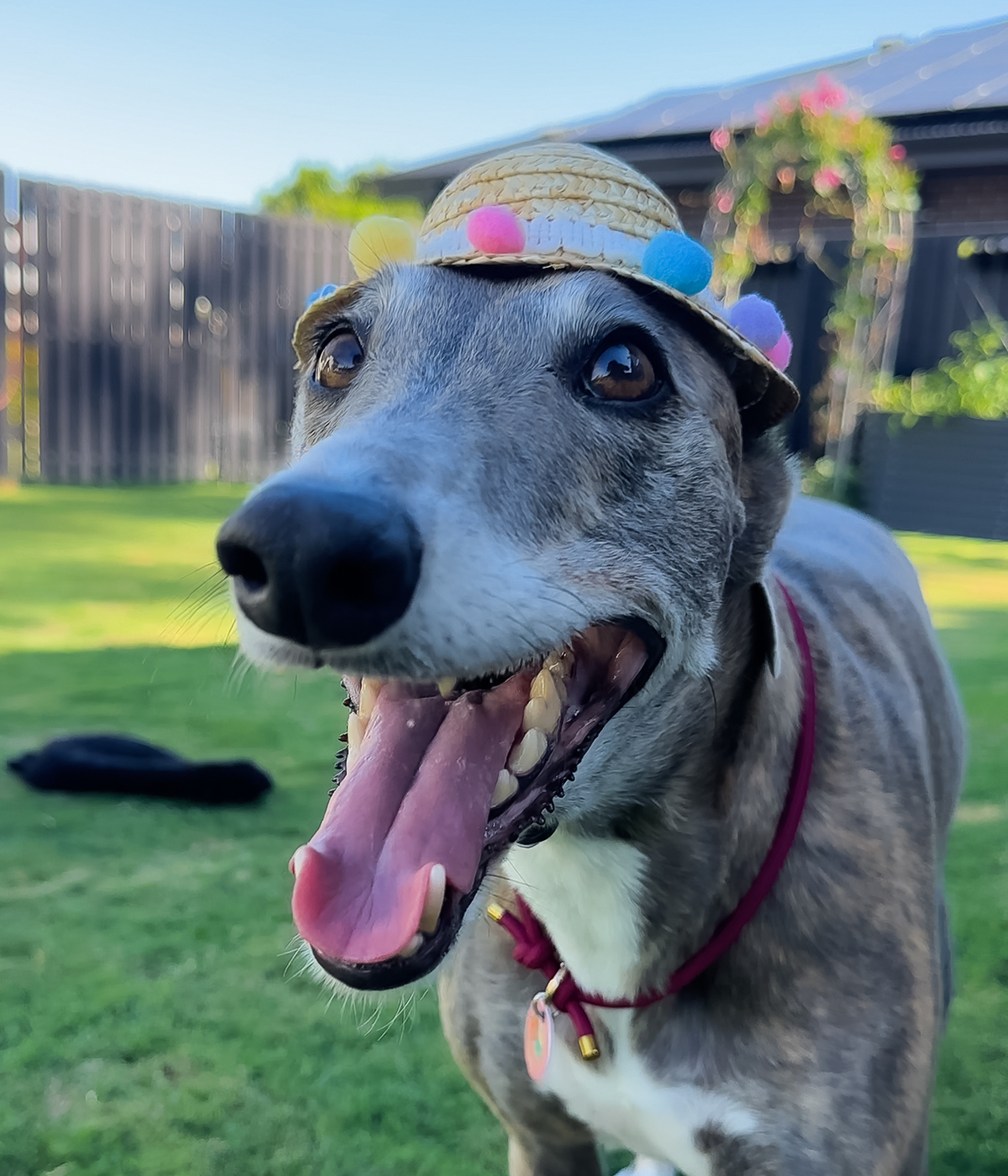 Pom Pom Sun Hat