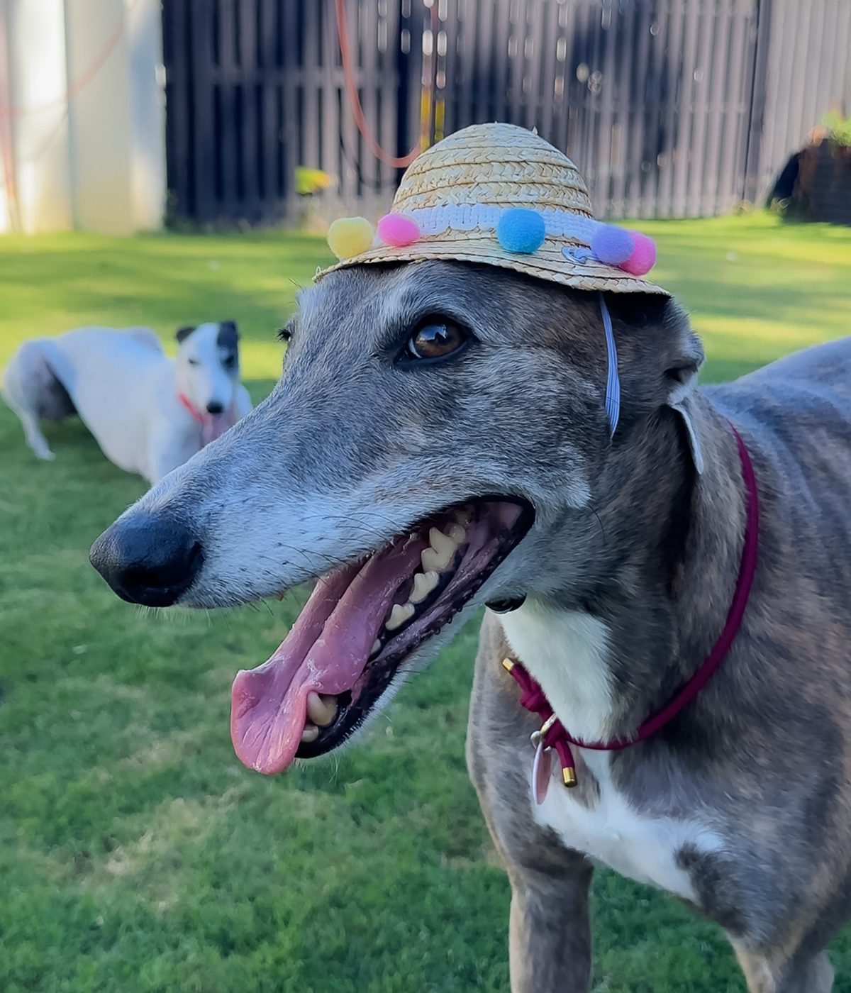 Pom Pom Sun Hat