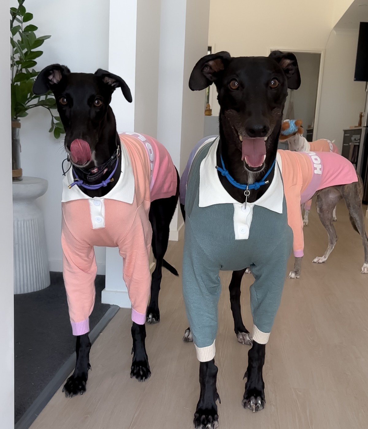 Polo Jersey - Peach Please