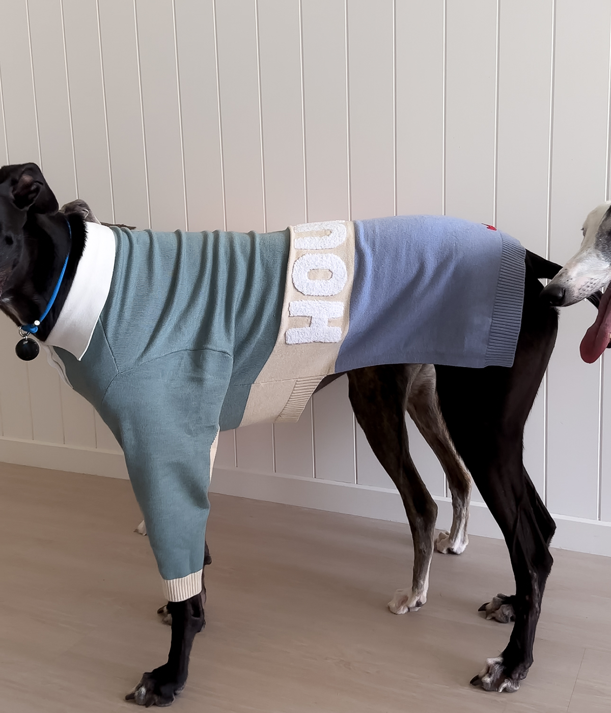 Polo Jersey - Sage Against The Machine