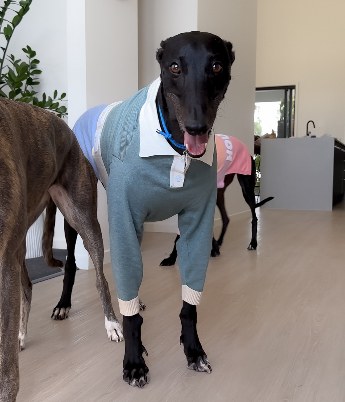 Polo Jersey - Sage Against The Machine