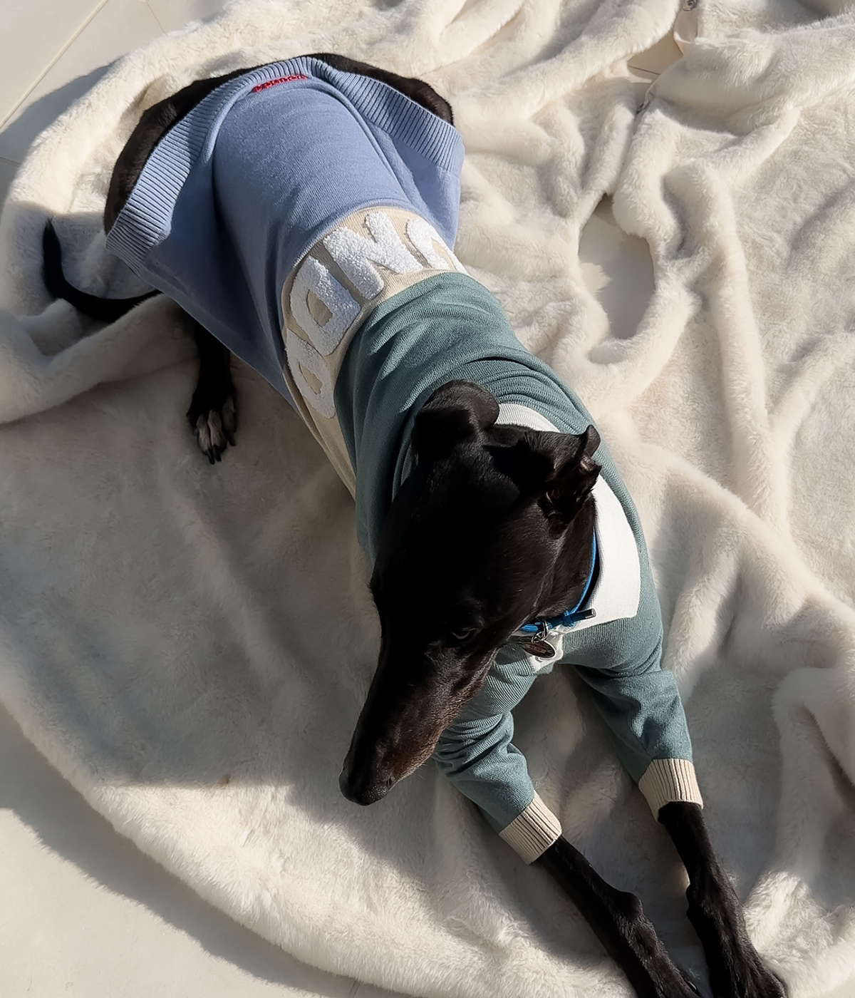 Polo Jersey - Sage Against The Machine