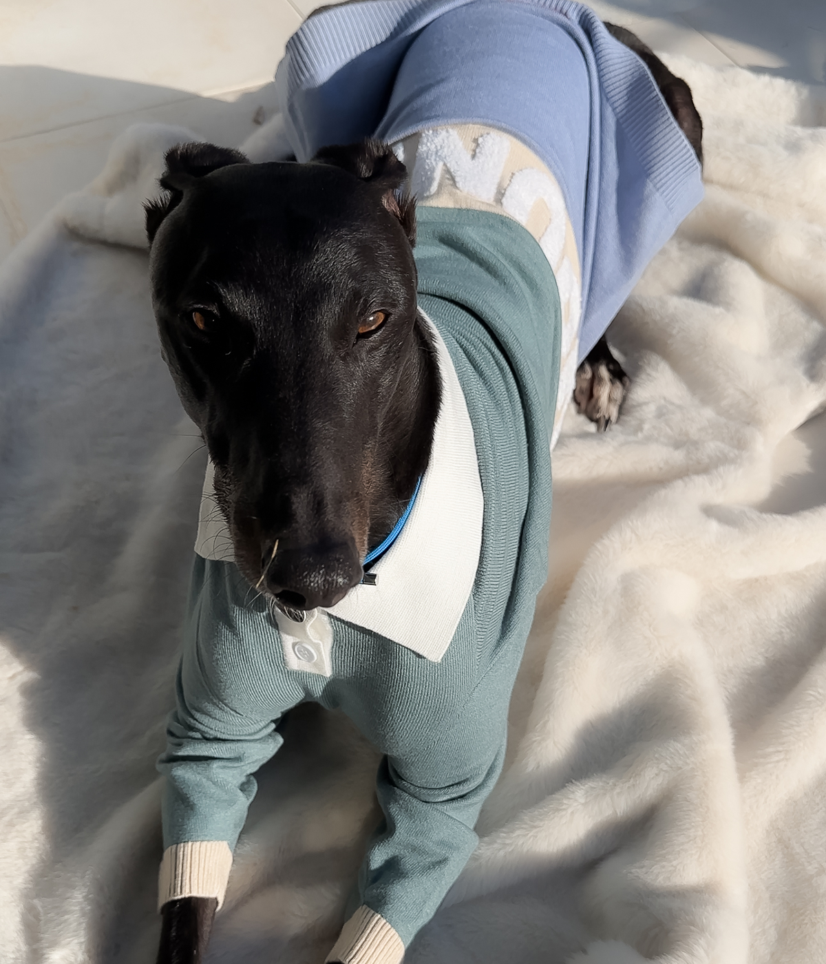 Polo Jersey - Sage Against The Machine