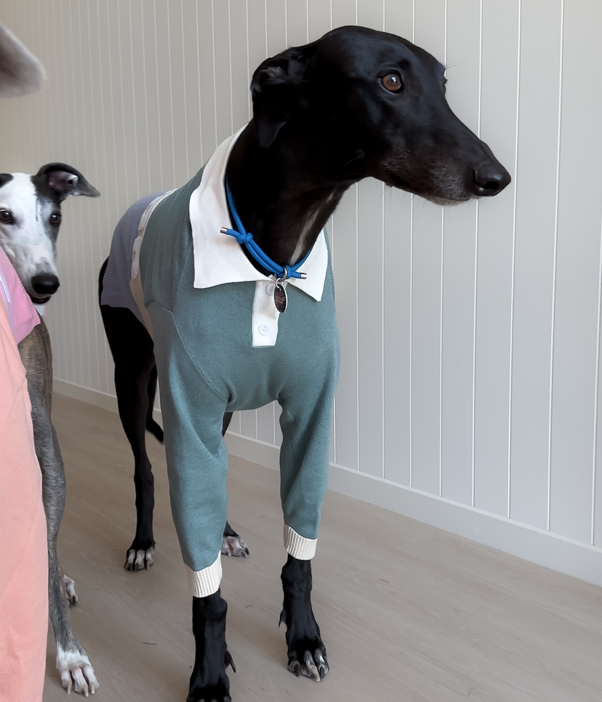 Polo Jersey - Sage Against The Machine