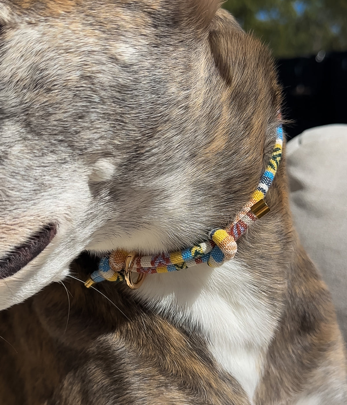 Boho House Collar - Shell