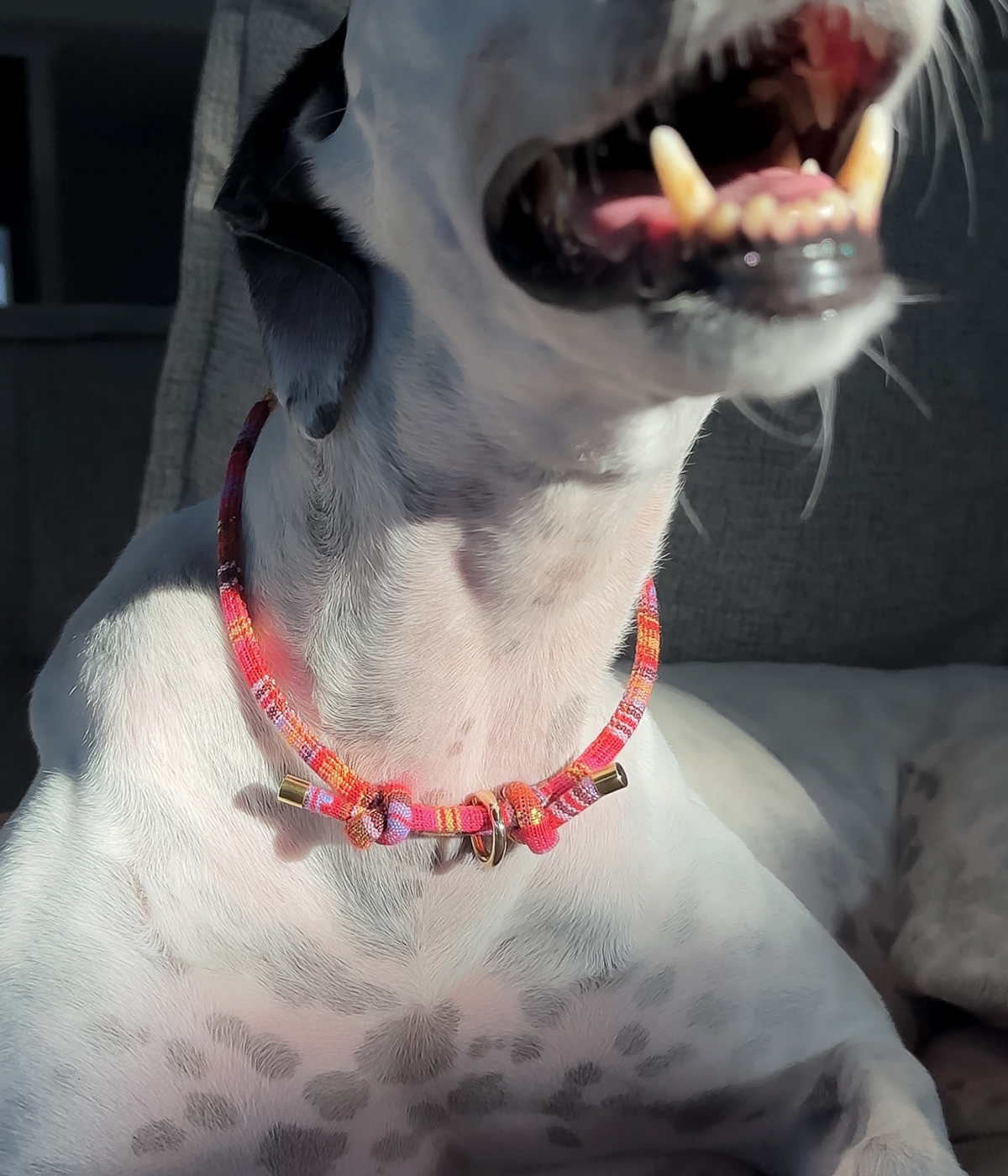 Boho House Collar - Sunset