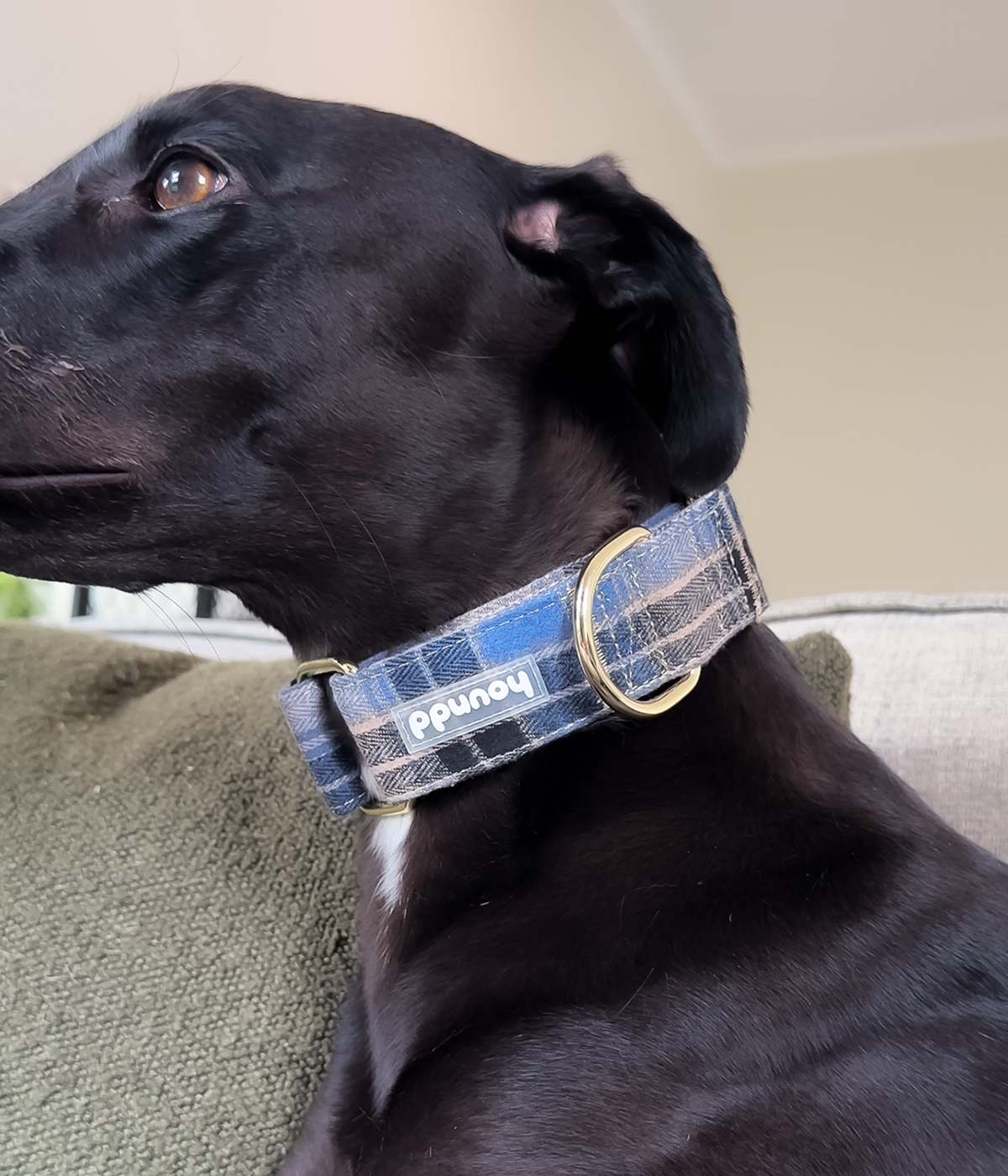Martingale Collar - Tartan