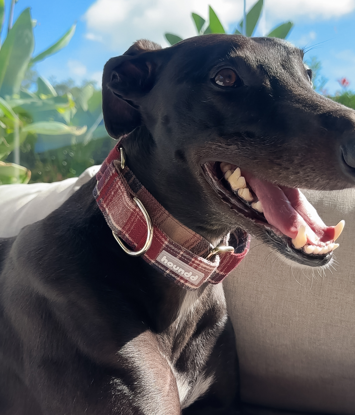 Martingale Collar - Tartan