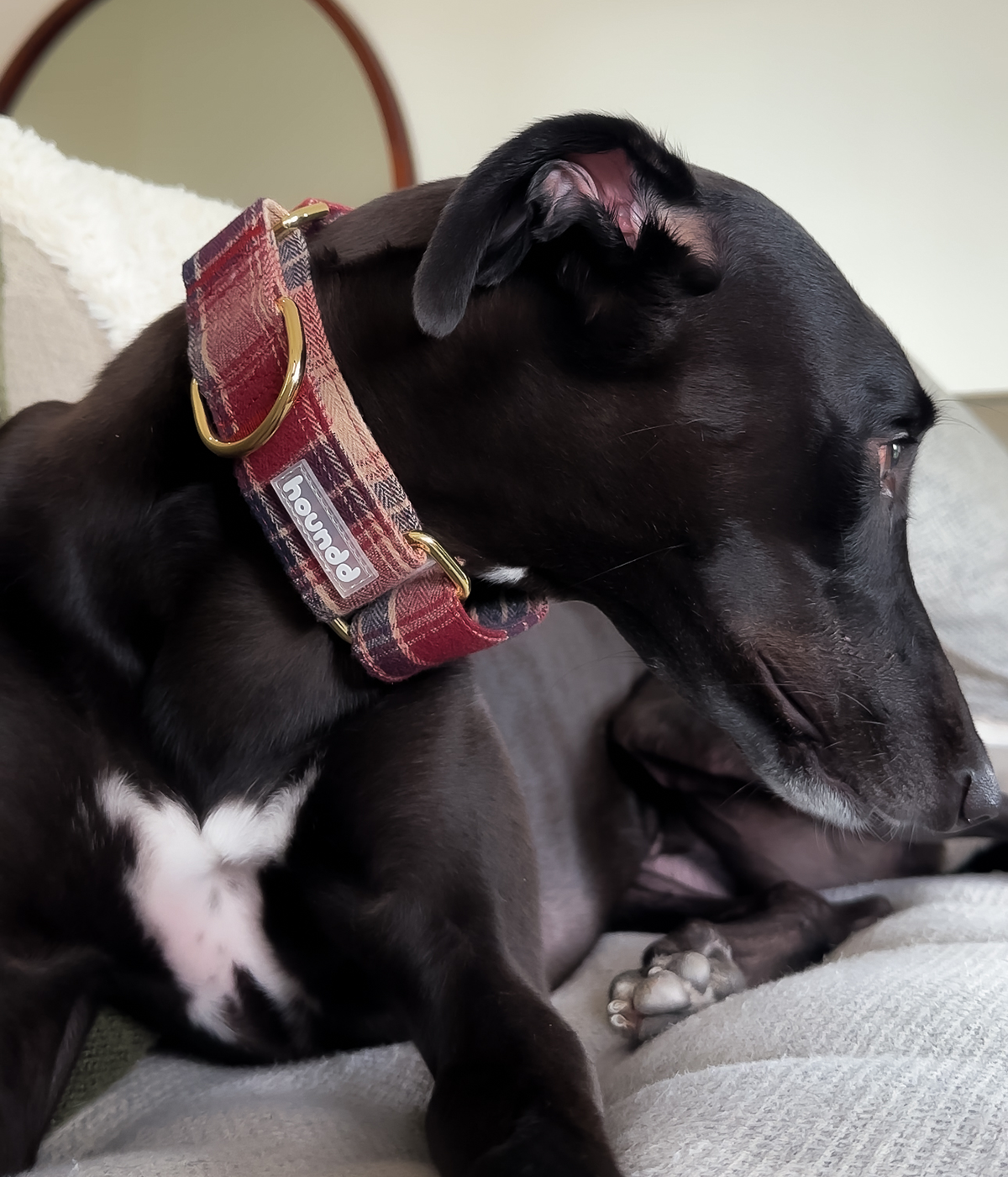 Martingale Collar - Tartan