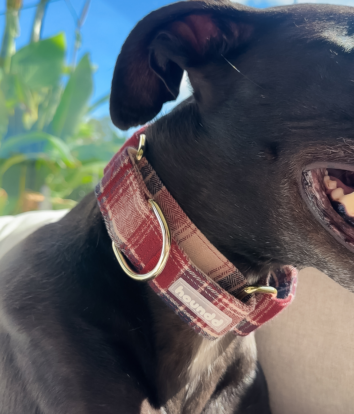 Martingale Collar - Tartan