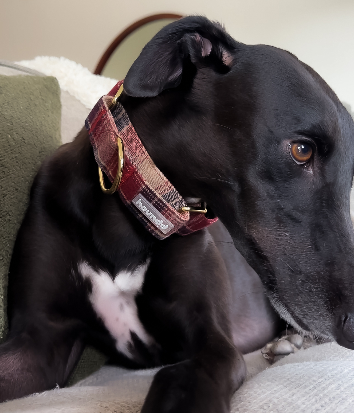 Martingale Collar - Tartan