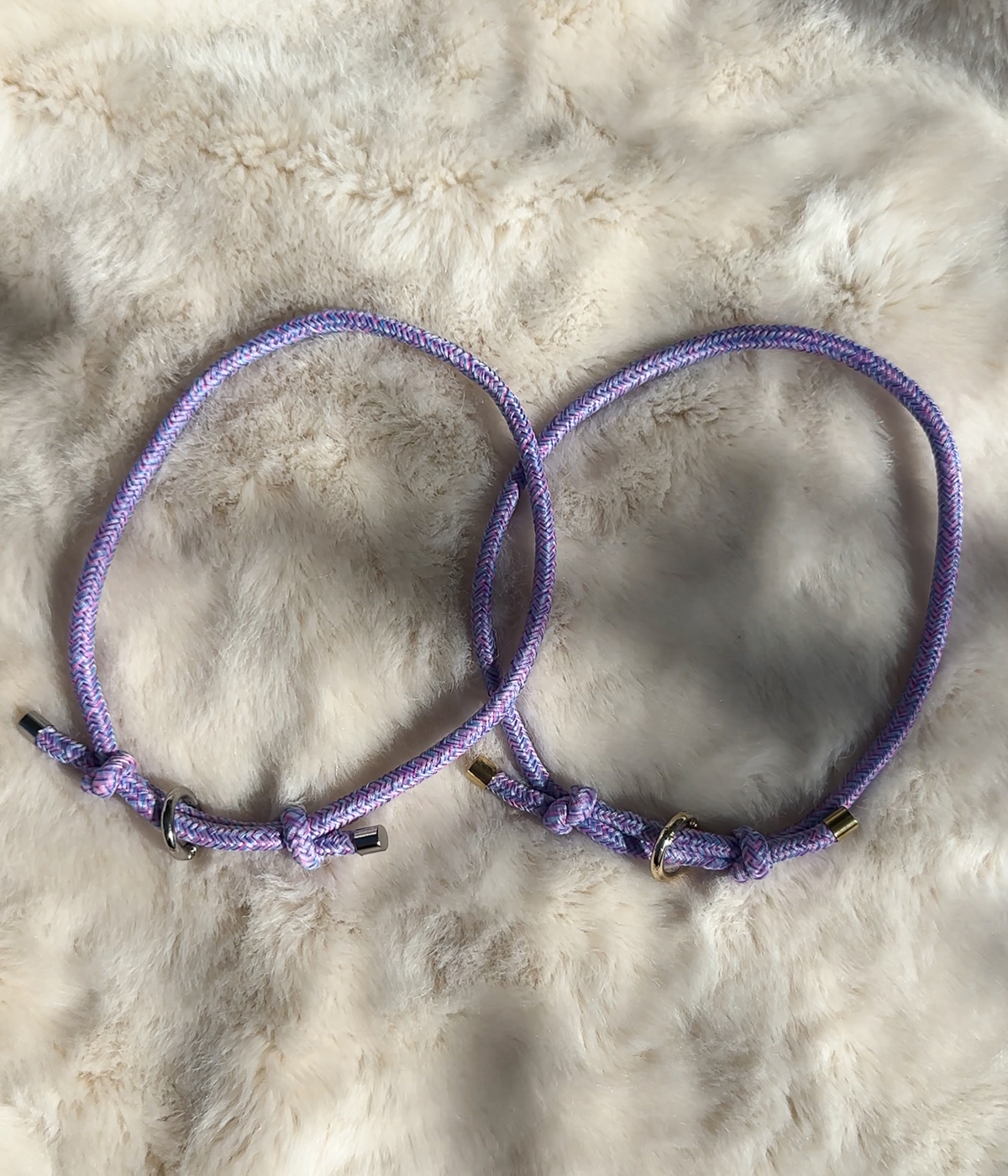 House Collar - Tutti Frutti