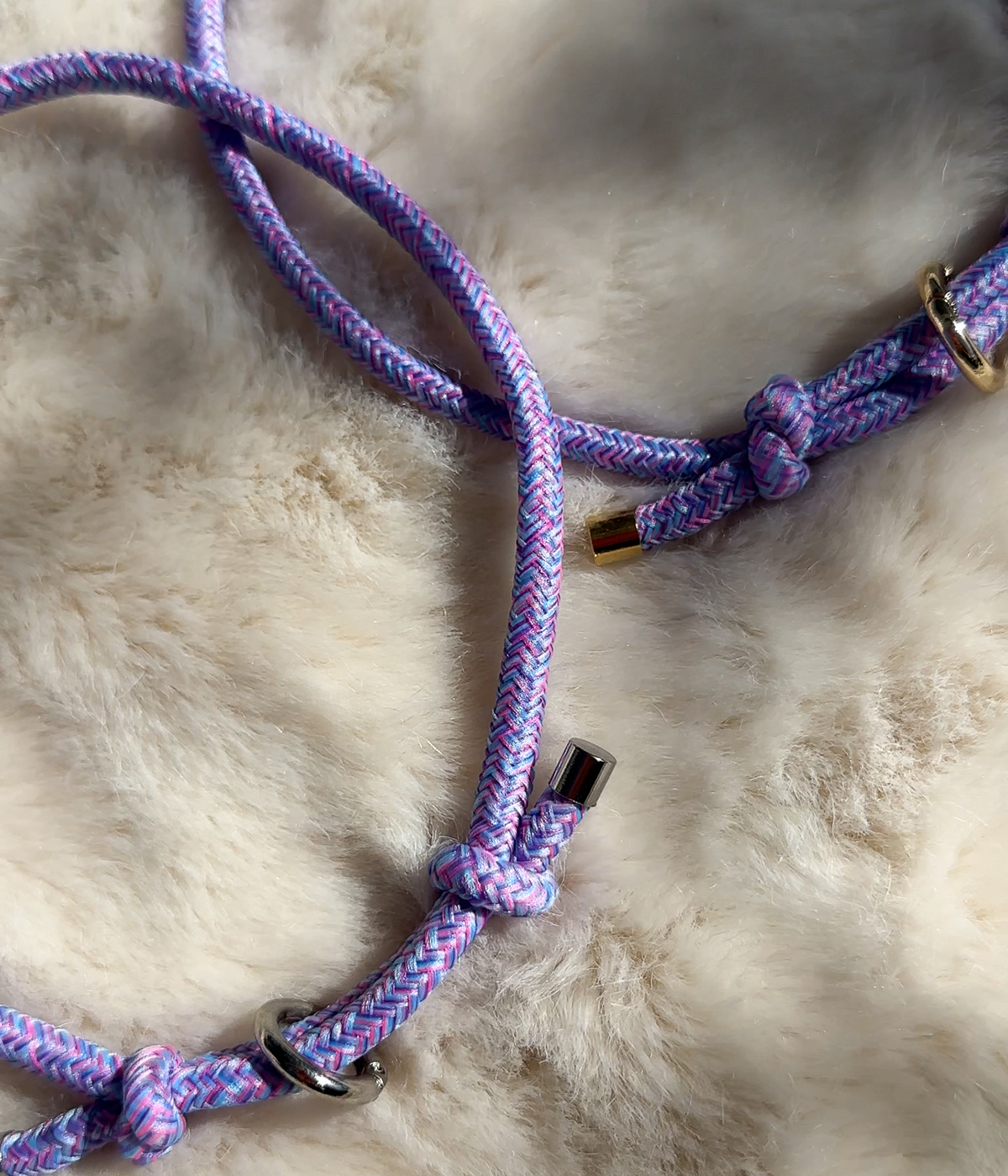 House Collar - Tutti Frutti