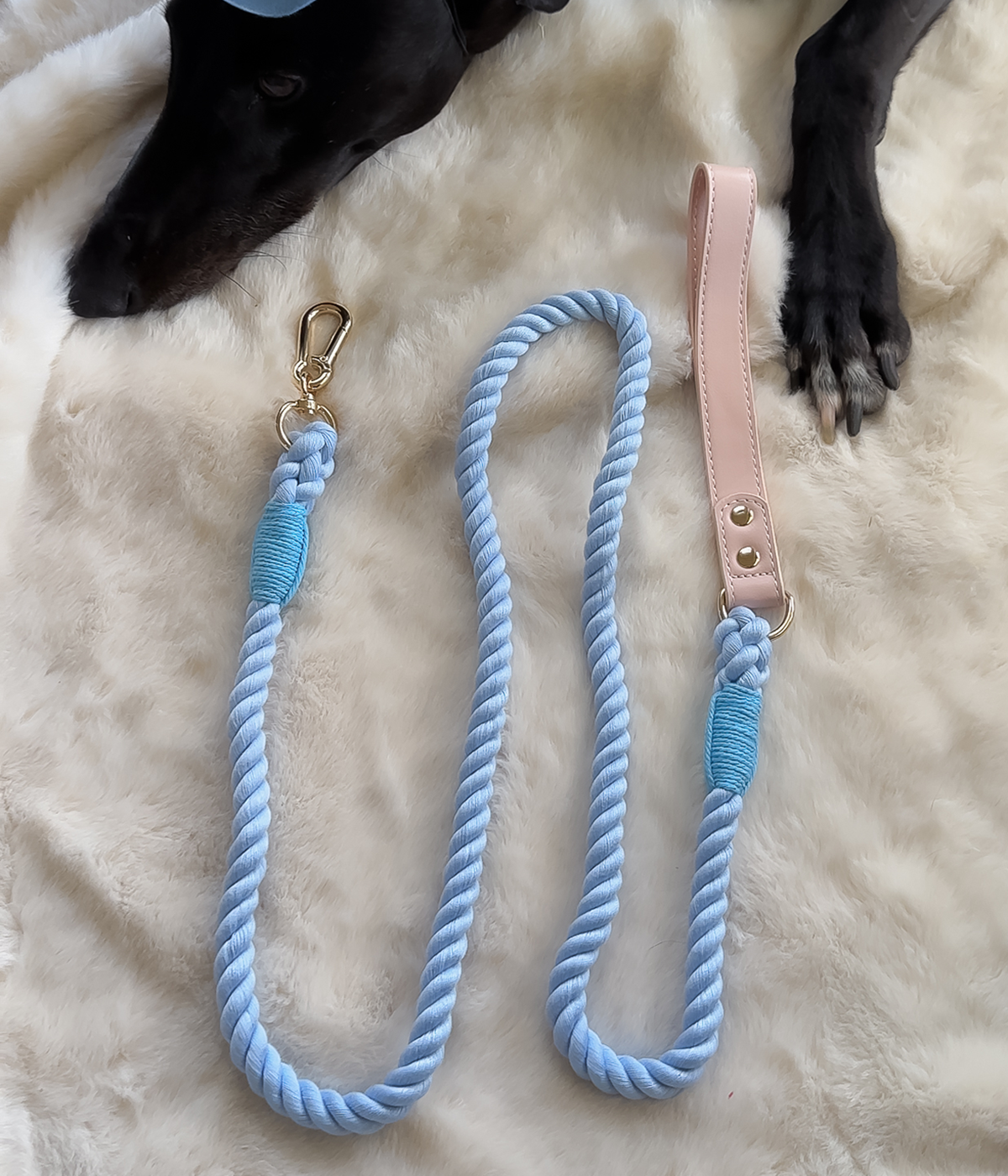 Twist Rope Dog Lead