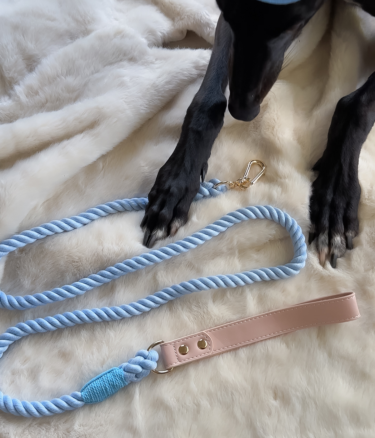 Twist Rope Dog Lead
