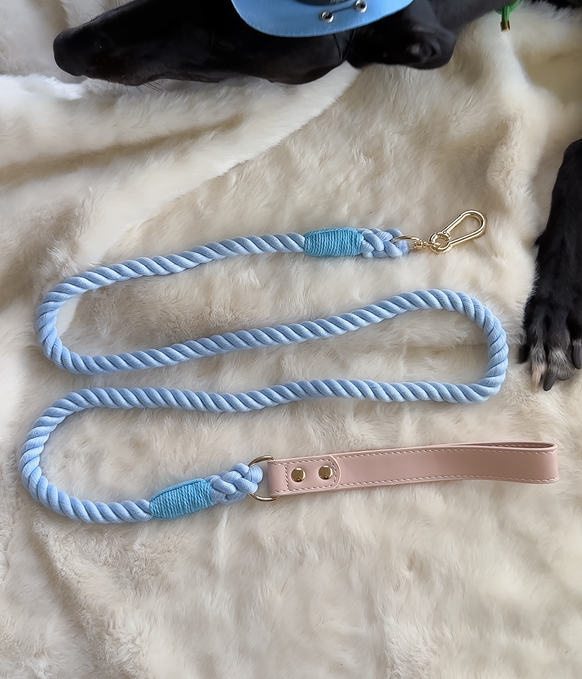 Twist Rope Dog Lead